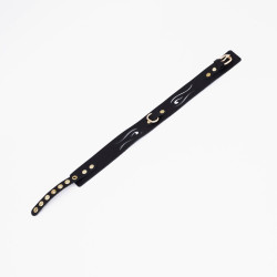 Черный кожаный ошейник с золотистой фурнитурой