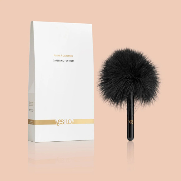 Черная перьевая кисточка с гладкой ручкой