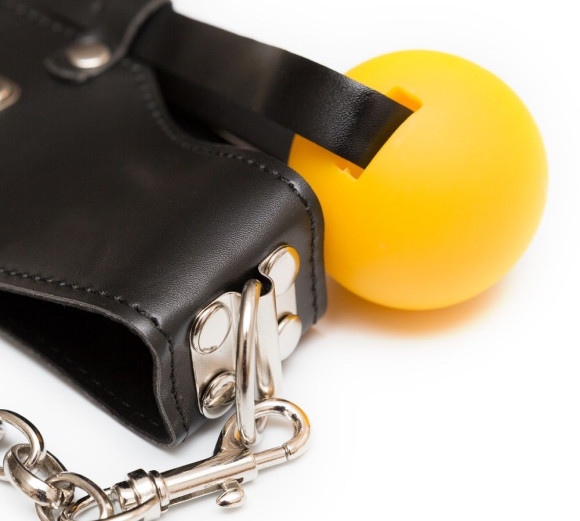 Кляп-шарик с поводком 