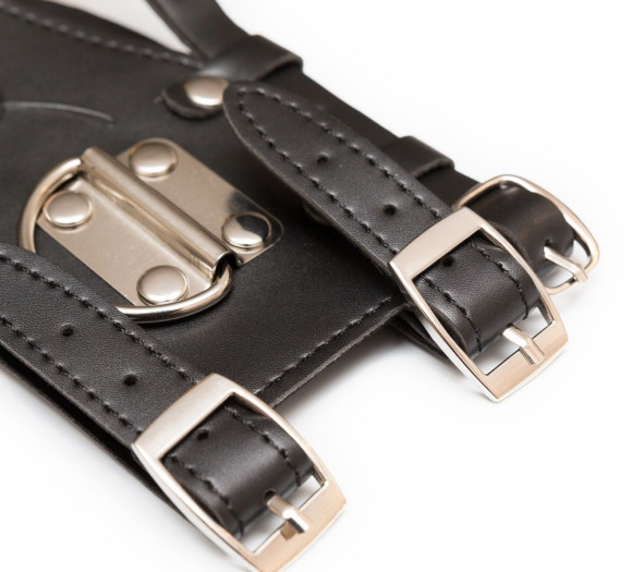 Кляп-шарик с поводком 